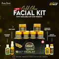 Glomesh Gold Facial Kit 10 in 1 Kit